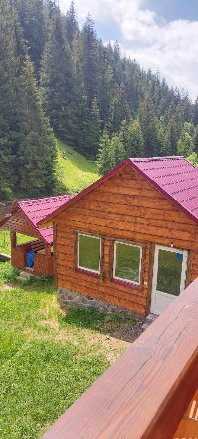 Крайня Хата Synevyrsʼka Polyana Exterior foto